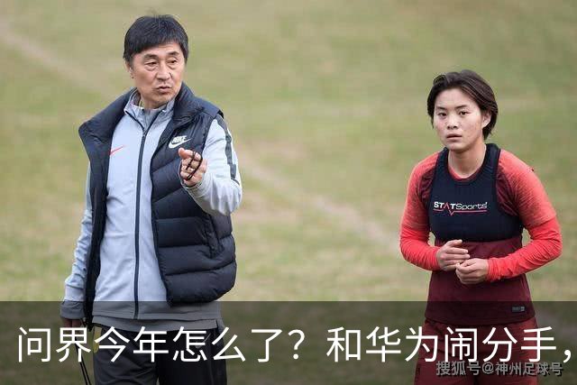 问界今年怎么了？和华为闹分手，出海弃用华为用博士，车主撞车起火！网友：今年不太顺